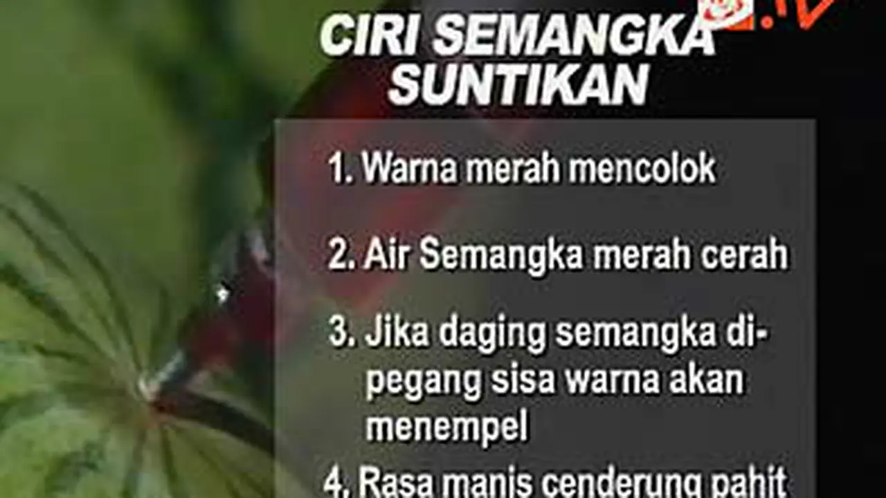 111112sigi.jpg