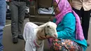 Seekor kambing yang dibawa pengacara Razman Arif Nasution dan kliennya, Putri Stagi ke Polda Metro Jaya, Rabu (29/11). Kambing itu luapan kekesalan Putri terhadap pengacara Ferry Juan yang menyamakannya dengan hewan tersebut. (Liputan6.com/Nafiysul Qodar)