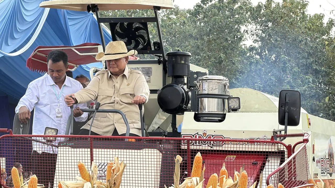 Presiden Prabowo Subianto saat menaiki traktor jenis Combine Corn Harvester saat panen raya jagung di Tuban, Jawa Timur. (Liputan6.com/Lizsa Egeham)