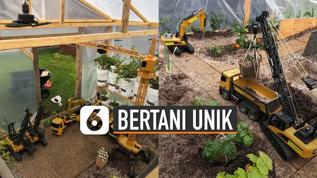 Bertani identik dengan menggunakan tenaga pribadi. Tetapi pria ini membuat alat berat untuk membantunya bertani.