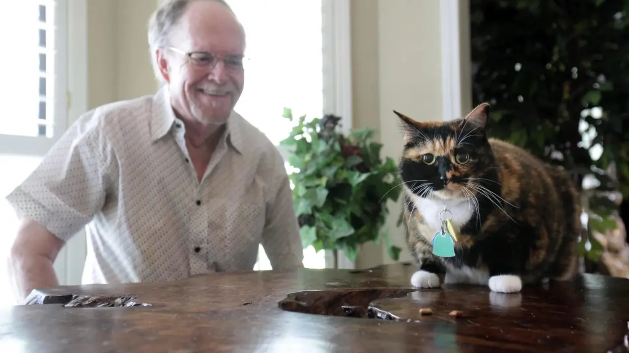 Fred Everitt dari Tupelo, Mississippi, tersenyum setelah kucingnya, Bandit, memperingatkannya di tengah malam bahwa dua pria hendak merampok dari pintu belakang rumahnya pada 29 Juli. (Thomas Wells / AP)