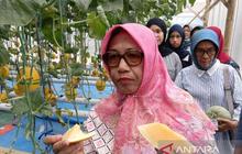 Pemkab Blora Dorong Petani Melon Hidroponik Lokal Penuhi Kebutuhan SPPG