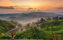 11 Tempat Wisata Pangalengan, Penuh dengan Panorama Alam Memukau
