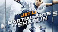 Martial Arts of Shaolin, Dendam Sang Ahli Bela Diri