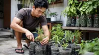 15 Tips Menanam Cabai di Botol Bekas agar Tumbuh Subur, Panduan agar Berbuah Lebat