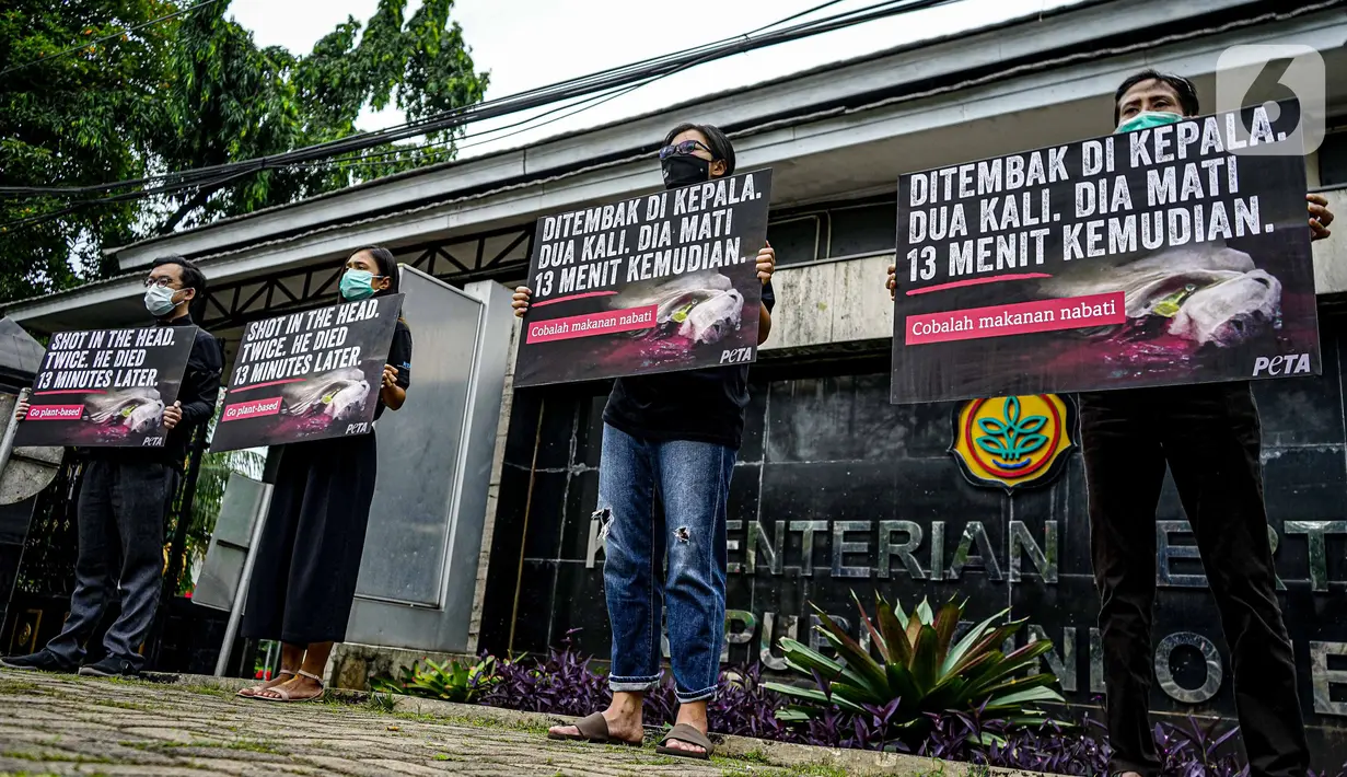 Aktivis dari PETA melakukan aksi mengecam pemotongan sapi di depan Kementerian Pertanian, Jakarta, Kamis (11/11/2021). Mereka meminta publik menjadi vegan dengan menolak mengkonsumsi daging sapi karena menemukan kejanggalan beberapa rumah potong hewan (RPH) di Indonesia. (Liputan6.com/Faizal Fanani)