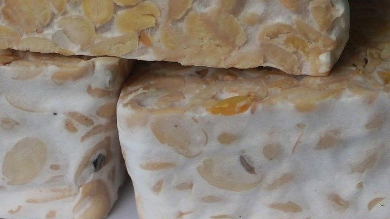 Cara Membuat Tempe yang Mudah dan Sederhana, Bisa Dibuat Sendiri di Rumah