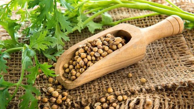 Ketumbar. (foto: Pinterest).