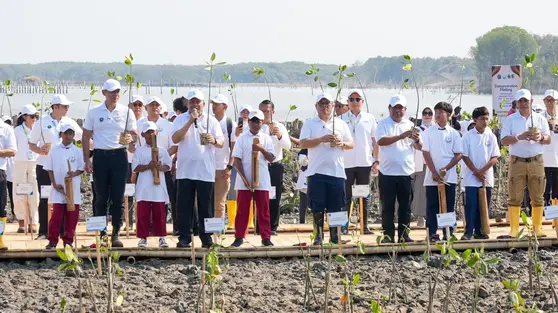 Cegah Abrasi Pantai Utara Jawa, BRI Peduli Tanam 30 Ribu Mangrove dan Olah Sampah