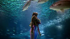 Mahasiswi biologi laut Brasil Isabela Cardoso (21) berenang seperti putri duyung di Rio de Janeiro Aquarium, Brasil (14/1). Aksi Isabela tersebut untuk memprotes bahaya pencemaran laut dalam kehidupan laut di Rio de Janeiro. (AFP Photo/Mauro Pimentel)