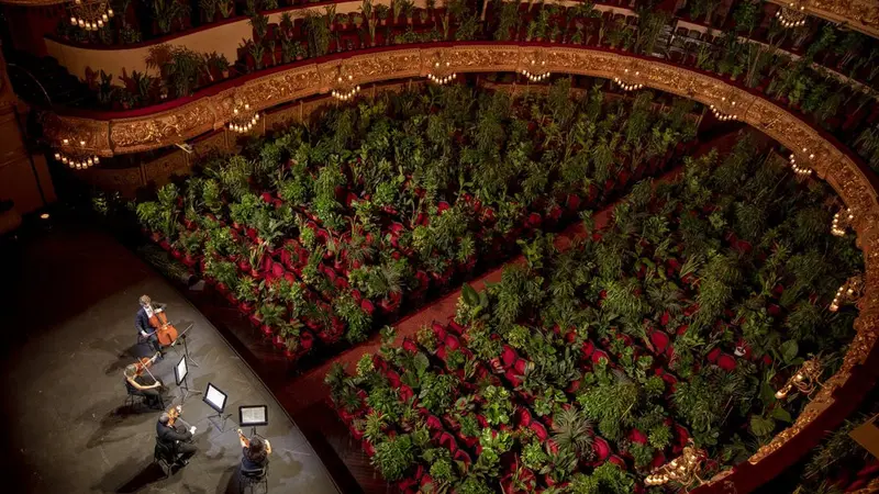 Terinspirasi dari keadaan alam selama pandemi, 2.292 tanaman dihiasi di setiap kursi penonton dalam konser virtual yang digelar oleh gedung opera Gran Teatre del Liceu di Barcelona, Spanyol pada Senin (22/6/2020) (Photo Credit: AP Photo/Emilio Morenatti)