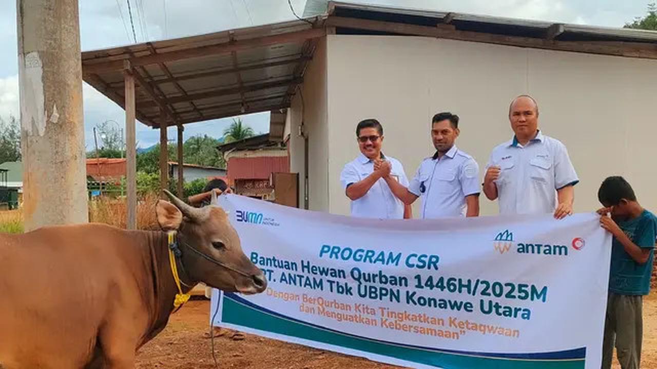 Momentum Iduladha, MIND ID Salurkan 732 Hewan Kurban Dorong Peningkatan Gizi Nasional