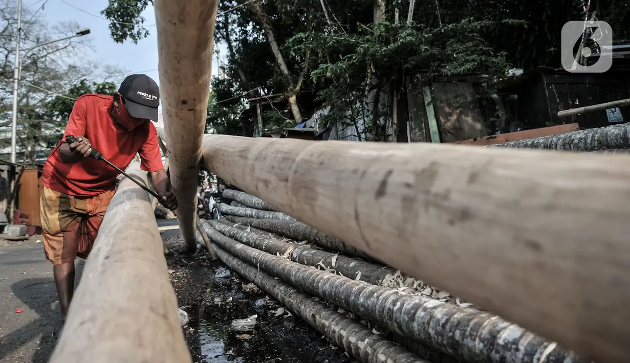 Seorang pedagang, Kusnadi (57) merakit pohon pinang di kawasan Manggarai, Jakarta, Selasa (11/8/2020). Penjualan pohon pinang tahun ini menurun drastis dibandingkan tahun sebelumnya akibat pandemi Covid-19 yang menyebabkan larangan sejumlah perlombaan. (merdeka.com/Iqbal Nugroho)