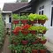 8 Ide Kebun Kacang-Kacangan dan Sayur yang Mudah Ditanam di Rumah, Hemat Ruang dengan Pot dan Vertikal
