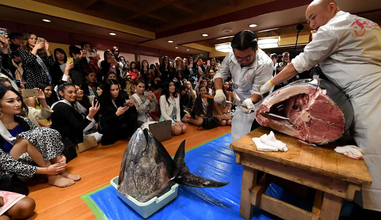 Kontestan Miss Internasional menyaksikan pemotongan ikan tuna sirip biru seberat 250 Kg yang akan di buat menjadi Sushi di Tokyo, Jepang (12/11). Para kontestan ini mengunjungi Jepang untuk mengikuti Miss Internasional. (AFP Photo/Toshifumi Kitamura)