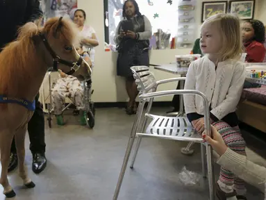 Handler Jorge Garcia - Bengochea memegang kuda poni dari Gentle Carousel Horses Miniatur Therapy saat kunjungan di Rumah Sakit anak Kravis, New York City, (16/3). Kuda ini nantinya akan menghibur para pasien rumah sakit ini. (REUTERS / Mike Segar)