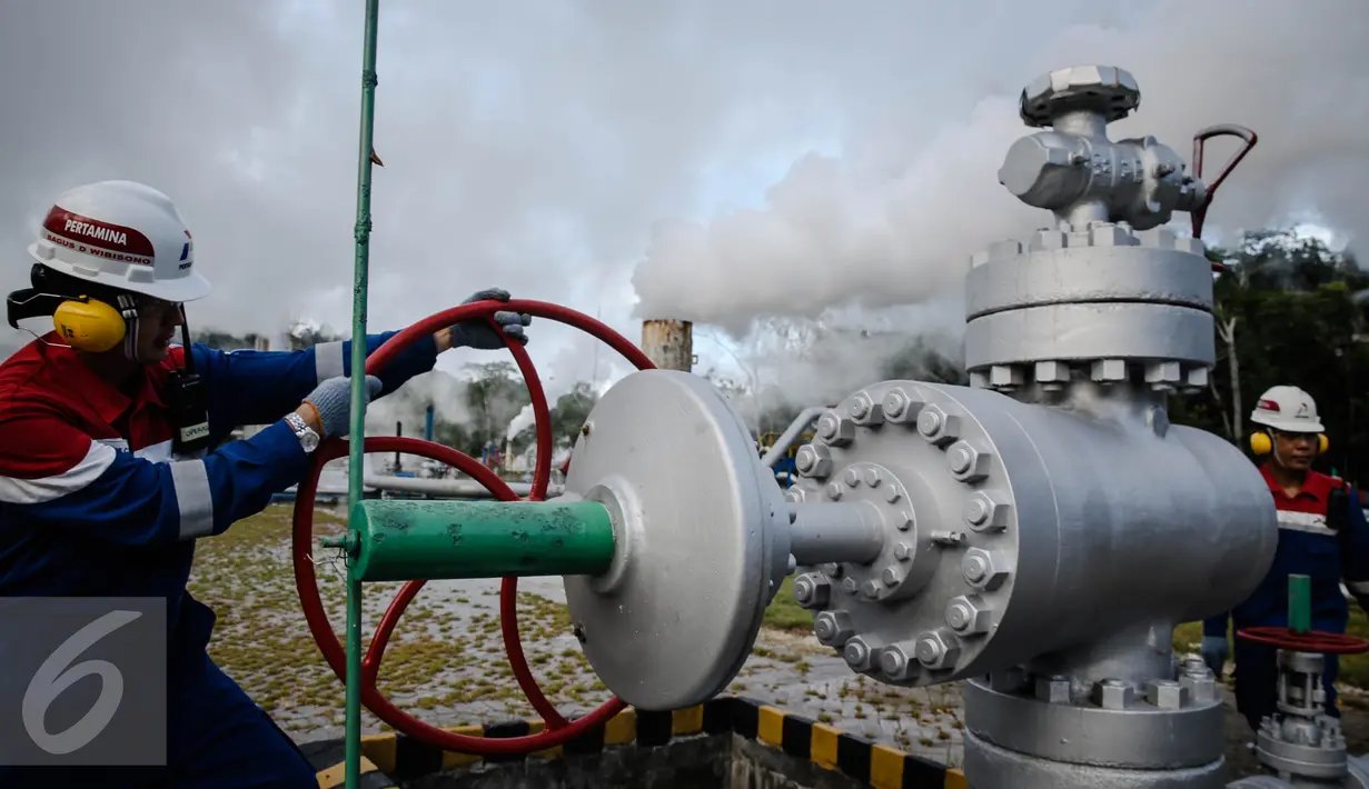 PT Pertamina Geothermal Energy (PGE), anak usaha PT Pertamina (Persero) telah mengembangkan dan mengoperasikan PLTP Unit 1,2,3 dan 4 dengan kapasitas masing-masing unit sebesar 20 MW. (Liputan6.com/Faizal Fanani)