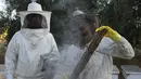 Peternak menyemprotkan asap ke sarang untuk menenangkan lebah, selama panen madu di sepanjang perbatasan Jalur Gaza dengan Israel, di desa Khuza'a, timur Khan Younis, Jalur Gaza selatan, Jumat, 20 Mei 2022. (AP Photo/Adel Hana)