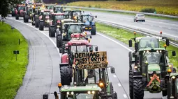 Para petani mengendarai traktor mereka sambil memblokir sepanjang jalan raya utama di Belanda, Selasa (1/10/2019). Mereka merencanakan protes di Den Haag untuk menyuarakan ketidakadilan karena disalahkan atas masalah polusi nitrogen yang terjadi negara itu. (Vincent Jannink/ANP/AFP)