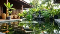 8 Model Kolam Ikan Teras Rumah Tidak Bau, Tanpa Aroma Amis dan Air Keruh