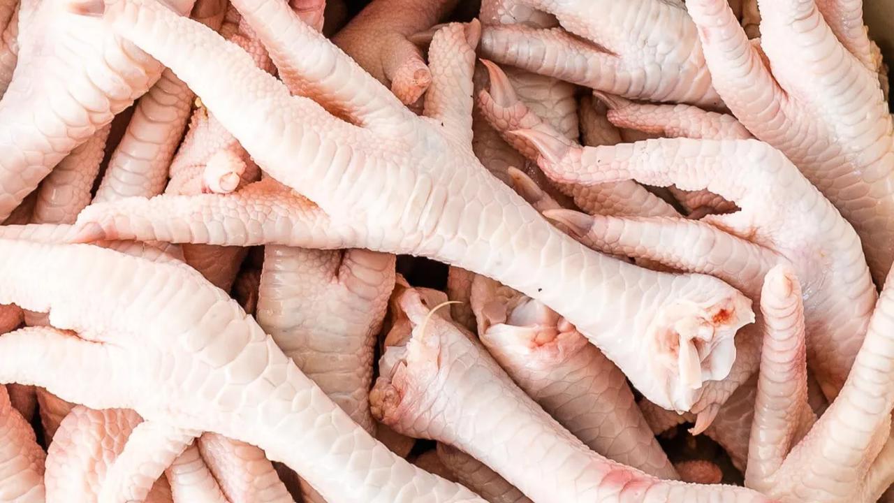 Ceker Ayam, Lezat dan Berkhasiat untuk Kesehatan Kulit hingga Tulang