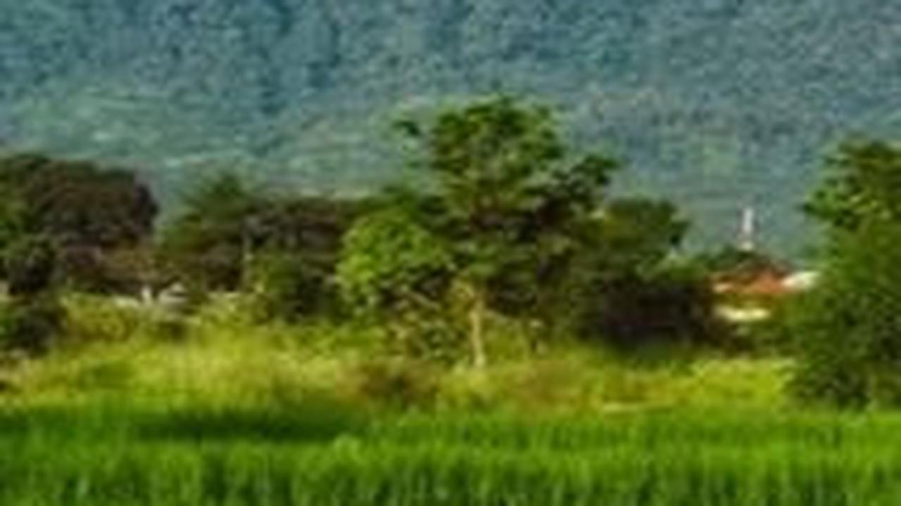 Mitos Gunung Ciremai, Bisa Jadi Tempat Mendaki Sekaligus Uji Nyali
