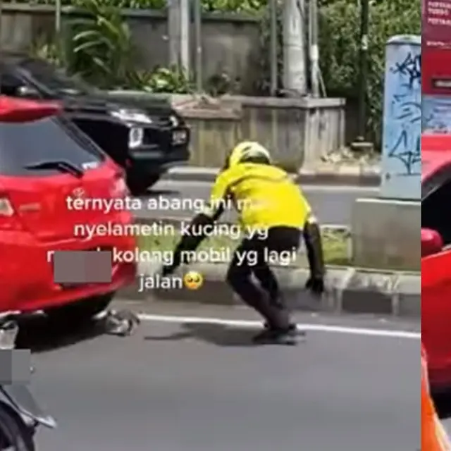 Aksi Ojol Selamatkan Kucing
