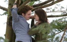 Panduan Lengkap Urutan Nonton Twilight Saga dari Awal hingga Akhir, Cocok untuk Tontonan Akhir Pekan