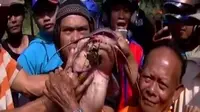 Ikan lele dengan berat 15 kilogram dan panjang lebih dari 1 meter tak sengaja ditemukan salah seorang warga yang tengah memancing.