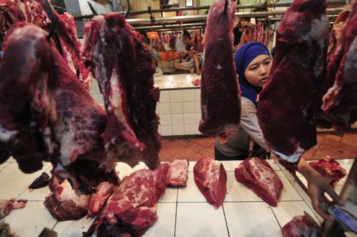 Stok daging sapi dipastikan aman jelang lebaran