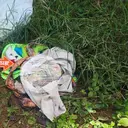 Hutan di Kupang NTT Diduga Jadi Tempat Buang Bayi