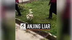Seorang pria asal Malaysia mendadak viral akibat cuitannya di Twitter. Ia bercerita bahwa anjing yang dirawatnya mendapatkan perlakuan kejam sehingga mengakibat mulut anjing tersebut berdarah.