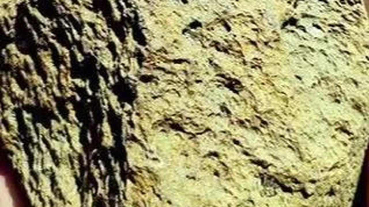 Batu Purba Ini Ungkap Sejak Kapan dan Siapa Manusia Pertama yang Tinggal di Eropa, Ini Sejarahnya