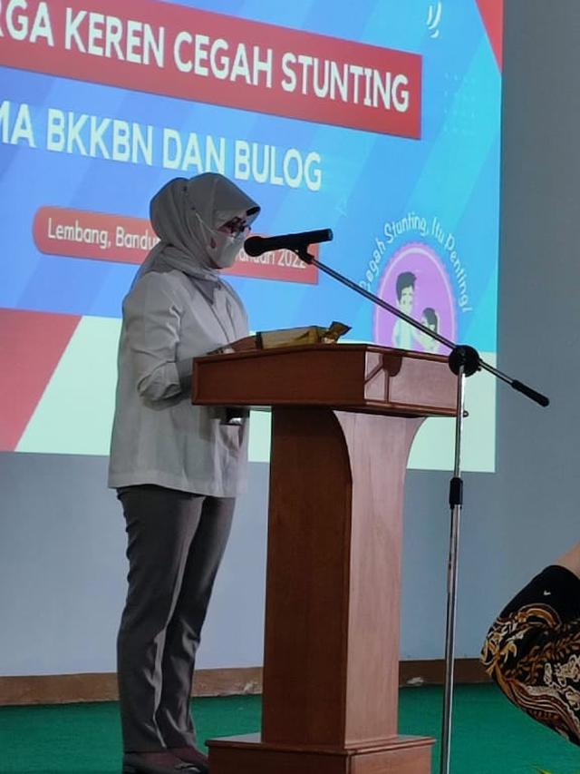 BKKBN, Stunting, DASHAT