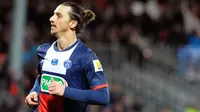 Ini Harapan Ibrahimovic di 2014