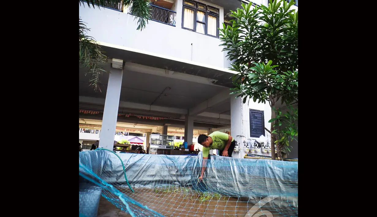 Hasil panen dari ternak lele tersebut dipasarkan kepada para pembeli yang mayoritas pedagang Pecel Lele, Jakarta, Selasa (19/8/2014) (Liputan6.com/Faizal Fanani)