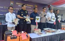 Terungkap! Kupu-kupu Langka hingga Gading Gajah Diselundupkan dengan Modus Jemaah Umrah