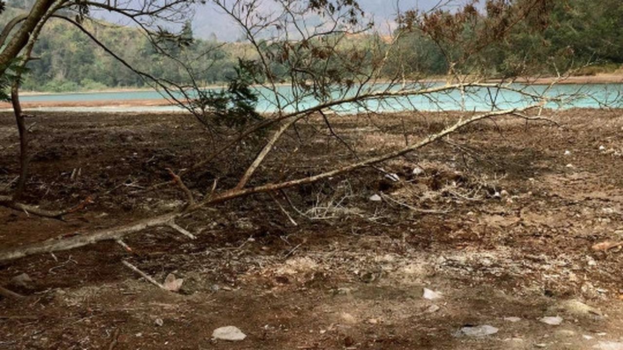 Melihat panorama Telaga Warna Dieng di tengah kemarau