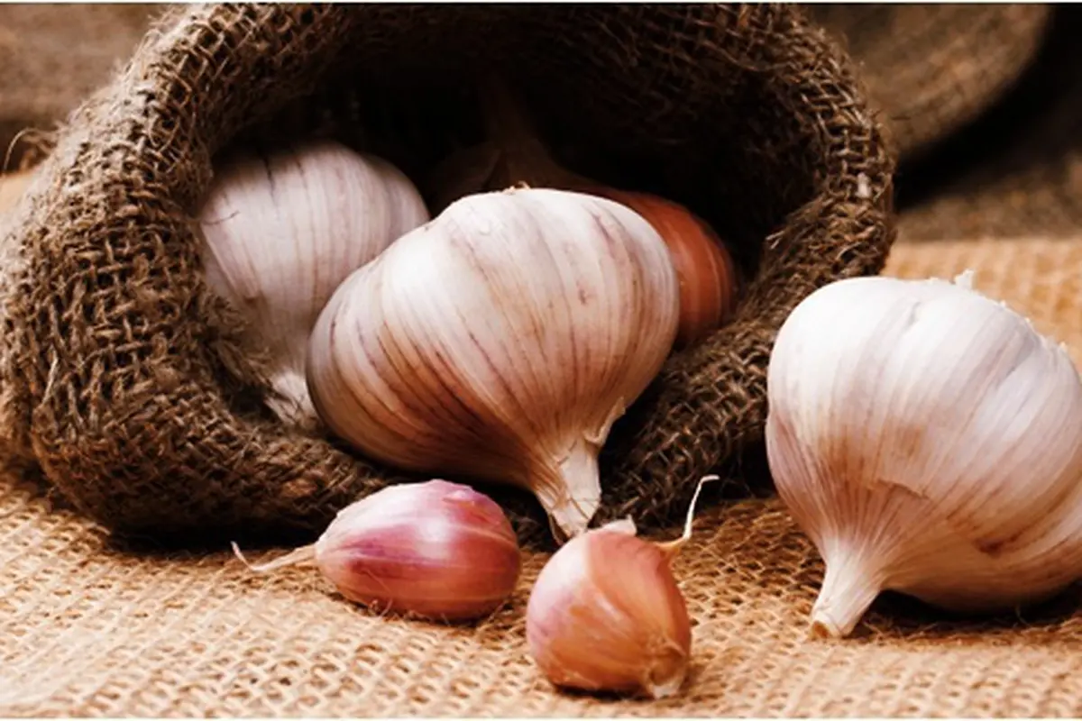 Photo: Copyright Thinkstockphotos.com