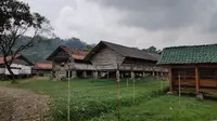 Suasana kampung kambing Desa Wisata Cibuntu Kabupaten Kuningan Jawa Barat bergaya rumah panggung memberikan kesan unik dan nyaman bagi warga peternak. Foto (Liputan6.com / Panji Prayitno)