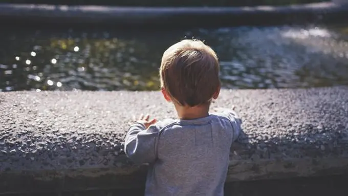 ilustrasi copyright pexels.com/freestock.org