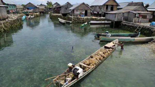 Suku Bajo