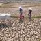 El Nino Perparah Kekeringan Sawah di Jonggol