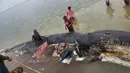 Petugas mengambil sampel dari bangkai paus sperma yang terdampar di perairan Wakatobi, Sulawesi Tenggara, Senin (19/20). Pada bangkai paus itu ditemukan 5,9 kg sampah, sebagian besar merupakan sampah plastik bahkan sandal jepit. (Liputan6.com/HO)