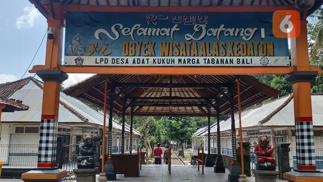 Libur Akhir Tahun Obyek Wisata Alas Kedaton Prediksi Kunjungan Meningkat Usai Natal