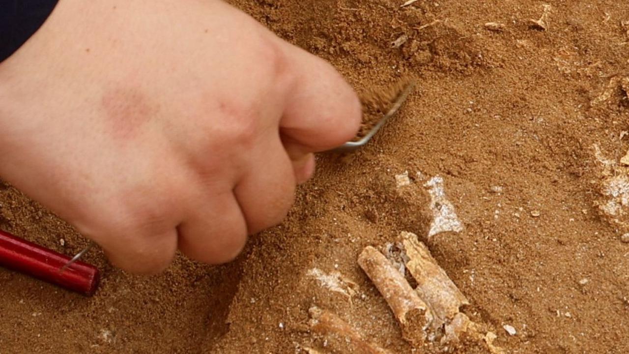 Dalam menggali ini, A'utul dibantu oleh sedikitnya 25 insinyur dan teknisi yang terlibat pada penggalian hari Minggu.  Dia mengatakan, meski cuaca panas, timnya tetap melakukan penggalian makam kuno itu.