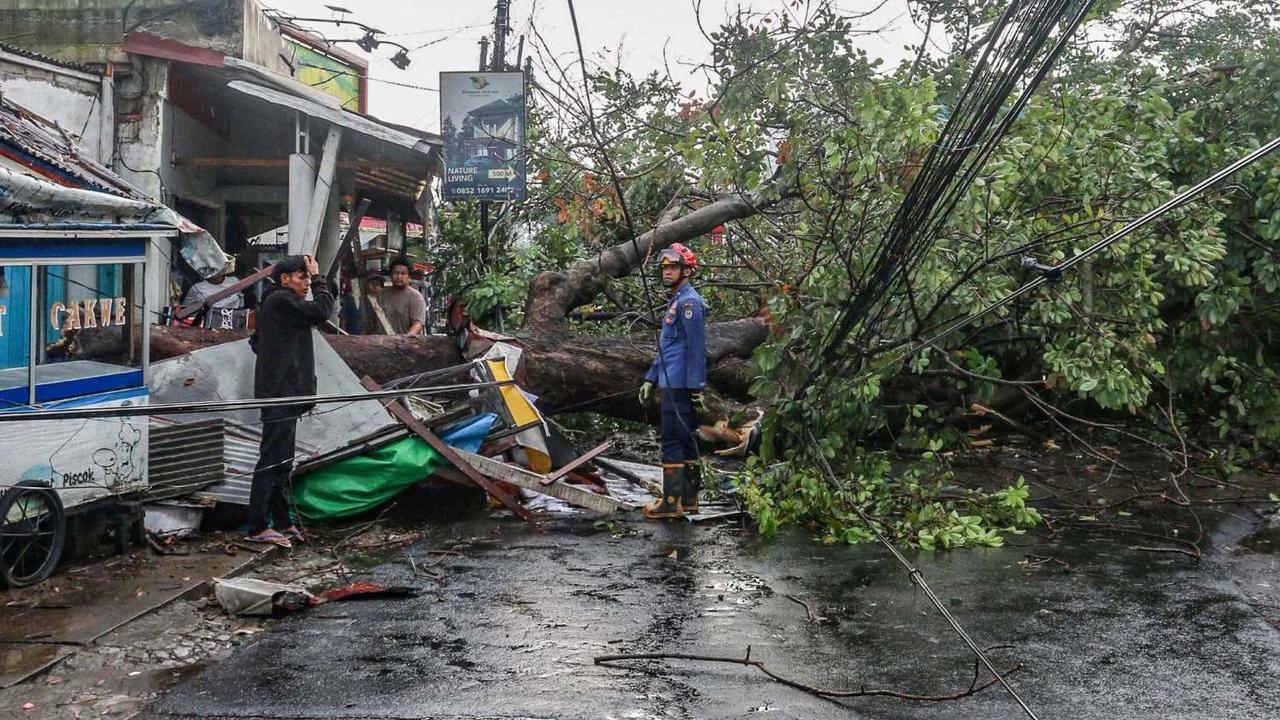 Pohon tumbang di Depok