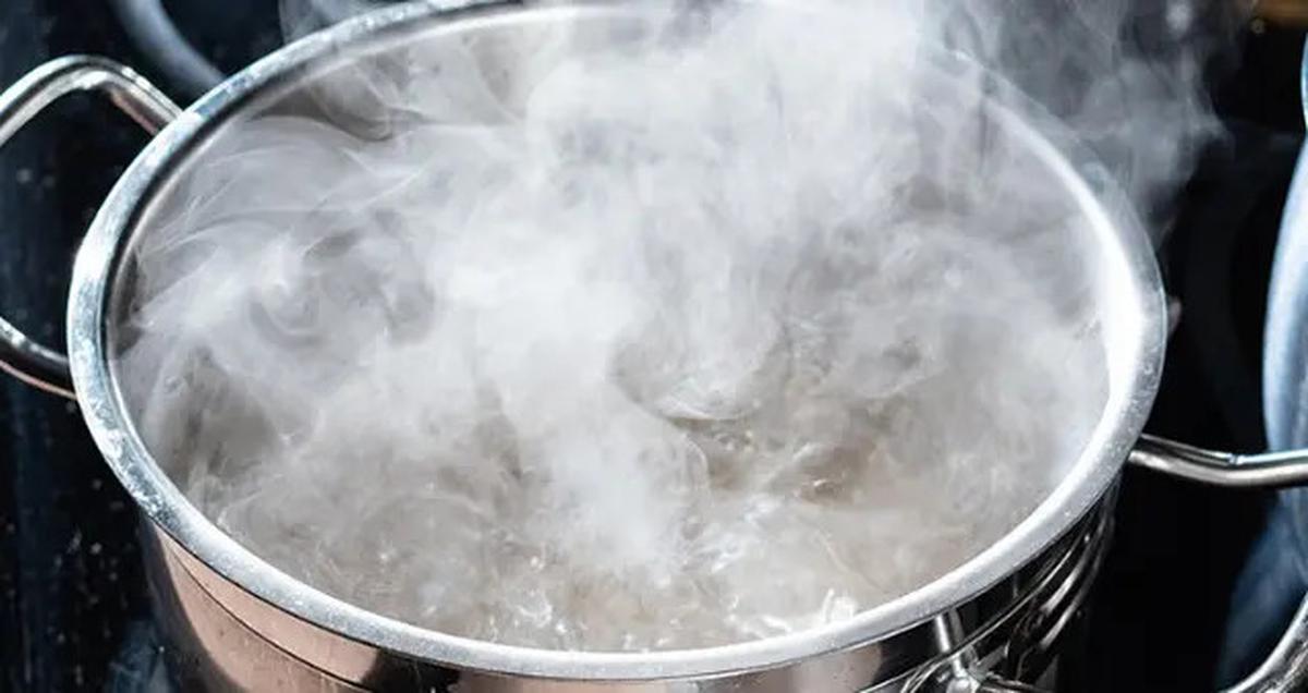 Cara Menghilangkan Lendir Ikan Lele dengan 3 Bahan Dapur, Bebas Bau Amis dan Lebih Bersih