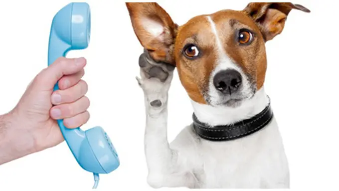 courtesy of shutterstock