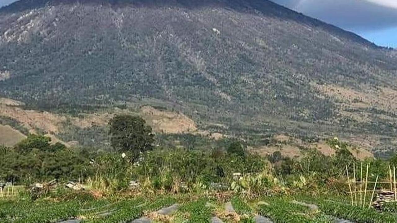 Ketika melewati rute Sembalun, pendaki akan lebih banyak melewati padang savana. Sedangkkan jalur Senaru akan banyak melewat hutan hujan tropis yang menjadi khas lansekap Indonesia.
